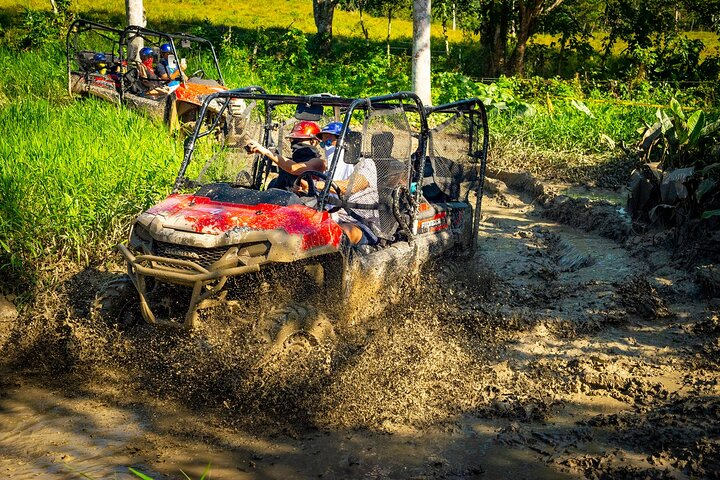 Jungle Buggies and Monkeyland from Punta Cana - Photo 1 of 13